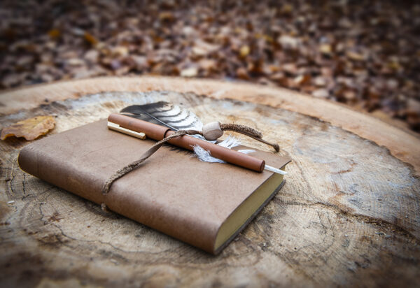 Poesie aus dem Wald - Workshop "Dichten unter Buchen"